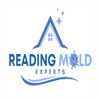 Mold Remediation Reading Solutions logo