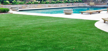 Top Notch Turf