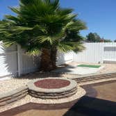 Gainford Backyard remodel Complete tare out and renovate entire backyard with grading stone retaining wall and fire pit, area drains, electircal for l