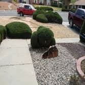 Photo(s) from Moore and Romero's landscaping and handyman services LLC Before and after pictures