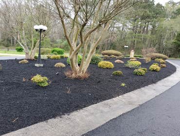 Photos by Castellanos Yard Services LLC #38