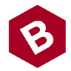 Bressoud Architecture, Inc logo
