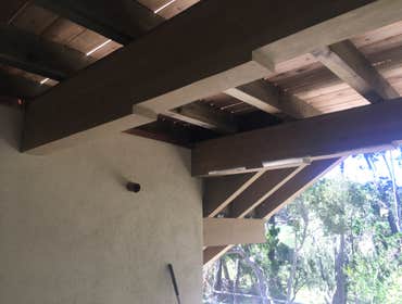 More big timbers