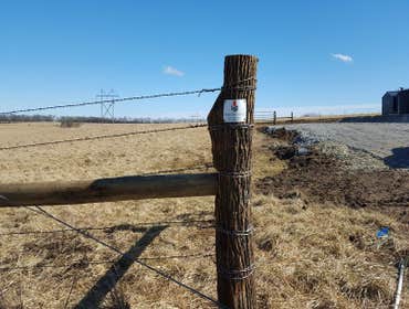 Fences