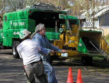 Photos by Artistic Treeworks #1