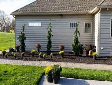 Photos by Amigos Lawn Care & Tree Service #1