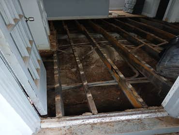 Photos by Dynamic Removal Services #1