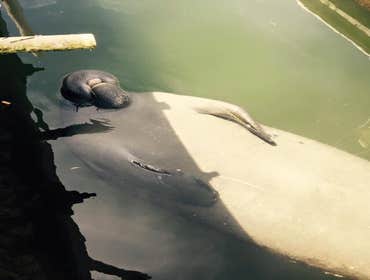 Janda Contracting LLC Job Gallery