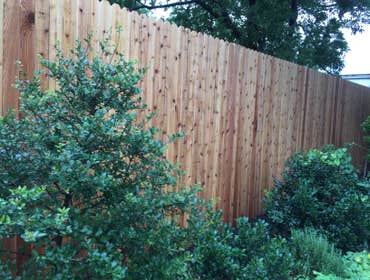 8' Cedar Fence with 10' steel poles