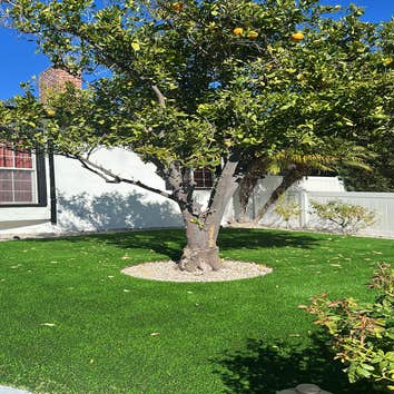 Photos by Webuild Home Efficient Inc #1