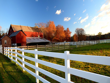Fences
