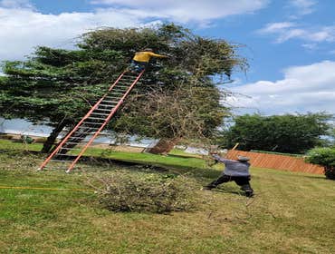Photos by Hernandez Lawn Care & Landscaping LLC #16