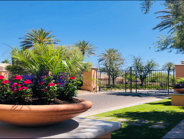 Photos by Enpark Landscape Las Vegas #1