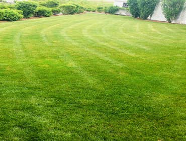 Photos by Alvarados Landscaping #1