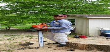 Photos by Mejicanos Tree Care #2
