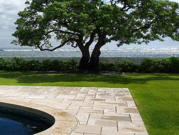 Photos from Hapa Landscaping LLC