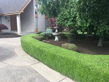 Photos from Q & A Landscaping