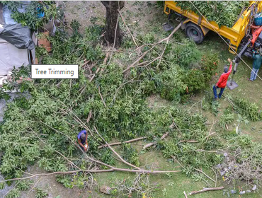 Photos by Burbank Tree Professionals #1
