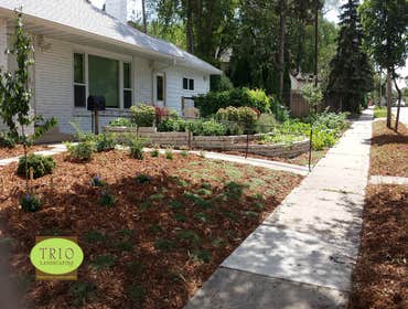 lawn less front yard this landscape features a space with out any lawn, the groundcover is still a green space but needs no mowing. This also meets th