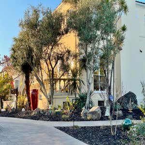 Photos by Bountiful Botanicals, Inc #3