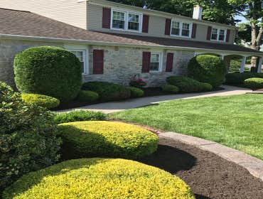 Photos by Ed Francos Simply Green, LLC #1
