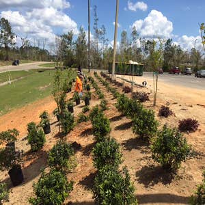 Photo(s) from Saussy Construction, Inc