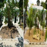 JW Landscaping Gallery
