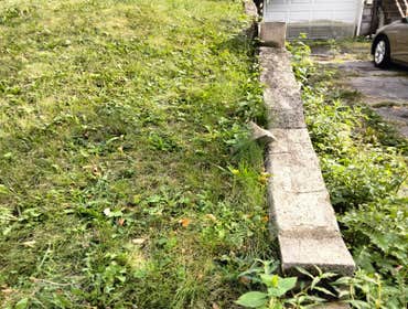 Photos by Spell Home Improvements #5 Clearing vines and weeds.