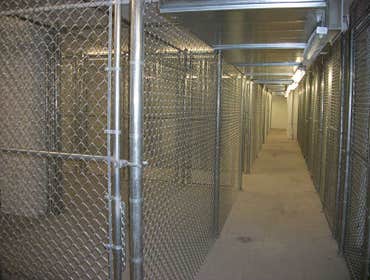 CHAIN LINK FENCING GALLERY