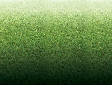 Photos by National Artificial Grass and Astro Turf - Georgetown #1