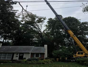 Photo(s) from Bonilla Tree Service Inc