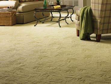 Carpet