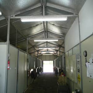 Horse stable lighting repair