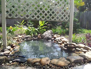 Pond