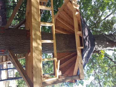 Custom Tree House Treehouse for my personal home. Octagon roof with square floor. All pressure treated wood with asphalt shingles. The roof is not tied