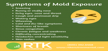 Rtk Environmental Group