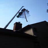 Photo(s) from Cs Tree Services