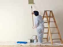 Photos by Ed House Painting #1