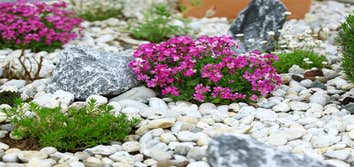 Nashville Landscaping Services