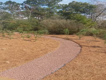 Projects and Plants This gallery shows a combination of projects and beautiful Native Plants. Projects that meet the requirements of a National Wildli