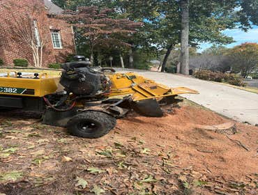 Photos by Rg Tree Services #5