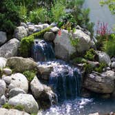 Photos by Aqualife Ponds #1