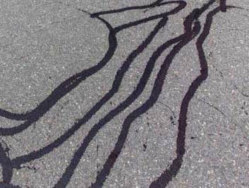 Photos by Fort Lauderdale Asphalt #1