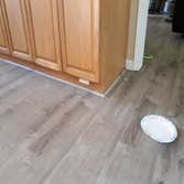 Photos by JC Contracting #1 NEW LAMINATE FLOOR