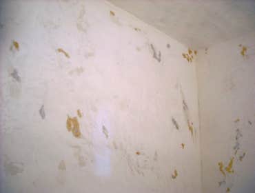 Jimmy torres's master bathroom This is one of my original plaster finishes. You will not see finishes like this anywhere else . I have many more like t