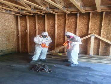 Photos by MGM Restoration, Inc. #1