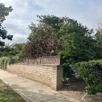 Hs Lawn Maintenance