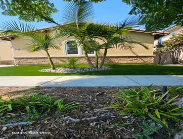 Photos by Fast Turf Landscaping Inc #6