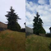 Photo(s) from Pacific Tree Care Solutions Llc