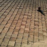 Hail Damaged Roof